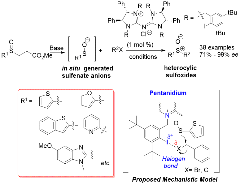3. Catalytic Enantioselective Alkylation of Sulfenate Anions to Chiral Heterocyclic Sulfoxides Using Halogenated Pentanidium Salts.