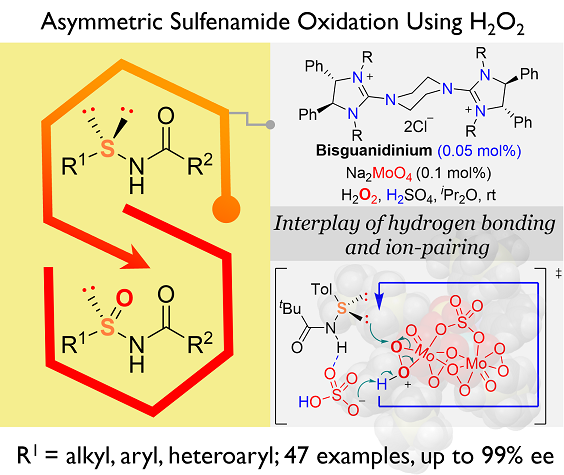24. Asymmetric Sulfenamide Oxidation Enabled by Bisguanidinium Dinuclear Oxodiperoxomolybdosulfate: Reactivity and Mechanistic Insights