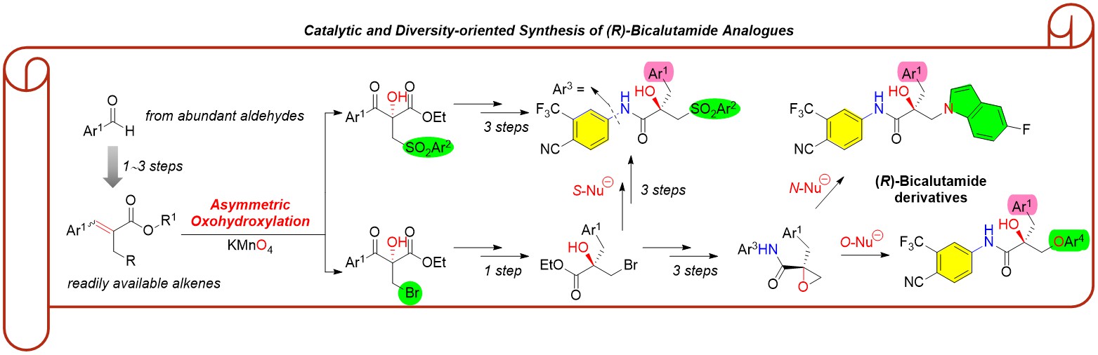 22. Toward Bicalutamide Analogues with High Structural Diversity Using Catalytic Asymmetric Oxohydroxylation